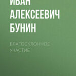 Благосклонное участие читать онлайн