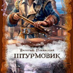 Штурмовик (СИ) читать онлайн