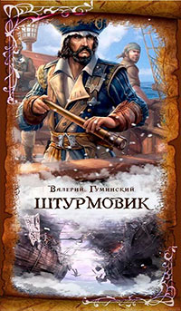 Штурмовик (СИ) читать онлайн