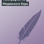 Телеграфист из Медянского бора читать онлайн