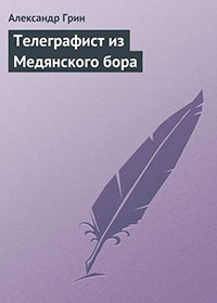 Телеграфист из Медянского бора читать онлайн