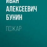 Пожар читать онлайн