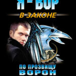 Гроза авторитетов читать онлайн