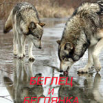 Беглец и Беглянка (СИ) читать онлайн