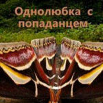 Однолюбка с попаданцем (СИ) читать онлайн