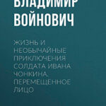 Перемещенное лицо читать онлайн