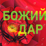 Я - судья. Божий дар читать онлайн