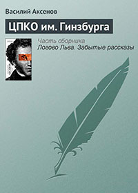 ЦПКО им. Гинзбурга читать онлайн
