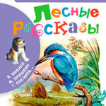 Лесные рассказы читать онлайн