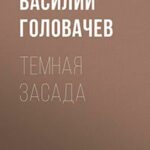 Темная засада читать онлайн