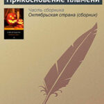 Прикосновение пламени читать онлайн