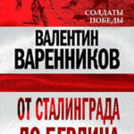 От Сталинграда до Берлина читать онлайн