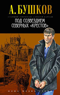 Под созвездием северных «Крестов» читать онлайн