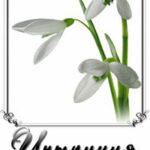 Интуиция (СИ) читать онлайн
