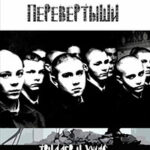 Перевёртыши читать онлайн