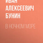 В ночном море читать онлайн