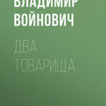 Два товарища (сборник) читать онлайн