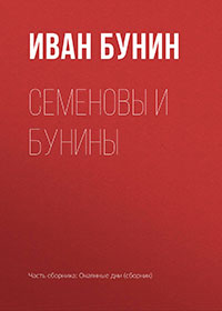 Семеновы и Бунины читать онлайн