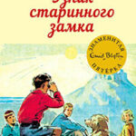 Узник старинного замка читать онлайн