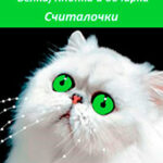 Белка