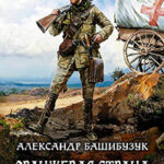 Оранжевая страна. Фельдкорнет читать онлайн