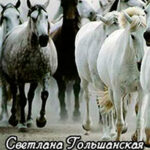 Гордость павших (СИ) читать онлайн