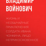 Лицо неприкосновенное читать онлайн