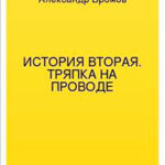 История вторая. Тряпка на проводе читать онлайн