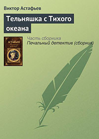 Тельняшка с Тихого океана читать онлайн