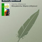 Колдун и Снегурочка читать онлайн