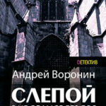 Слепой. Я не сдамся без боя! читать онлайн