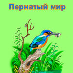 Пернатый мир читать онлайн