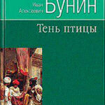 Тень птицы читать онлайн
