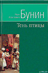 Тень птицы читать онлайн