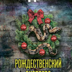 Рождественский экспресс читать онлайн