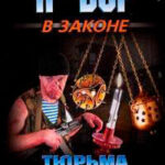 Тюрьма особого назначения читать онлайн
