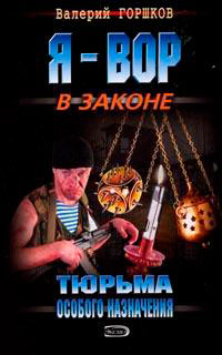 Тюрьма особого назначения читать онлайн