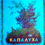 Капалуха читать онлайн
