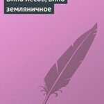Вино лесов