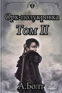 Орк-полукровка. Эвиленд (СИ) читать онлайн