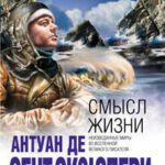 Смысл жизни читать онлайн