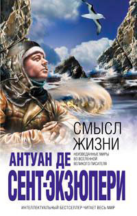 Смысл жизни читать онлайн