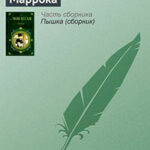 Маррока читать онлайн