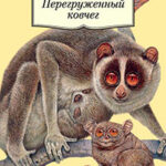 Перегруженный ковчег читать онлайн