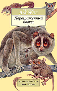 Перегруженный ковчег читать онлайн