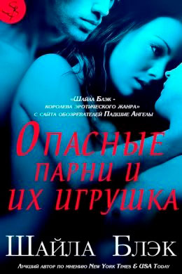 Опасные парни и их игрушка читать онлайн