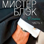 Мистер Блэк читать онлайн