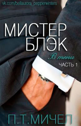 Мистер Блэк читать онлайн