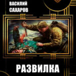 Развилка читать онлайн