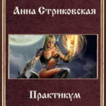 Практикум для теоретика читать онлайн